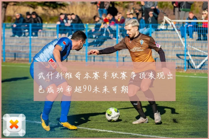 武什科维奇本赛季联赛争顶表现出色成功率超90未来可期