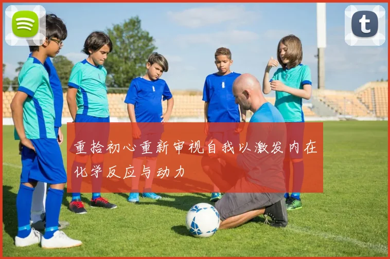 重拾初心重新审视自我以激发内在化学反应与动力