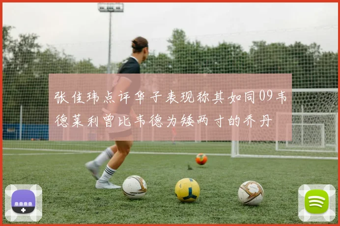 张佳玮点评华子表现称其如同09韦德莱利曾比韦德为矮两寸的乔丹